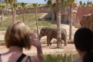 terra-natura-benidorm